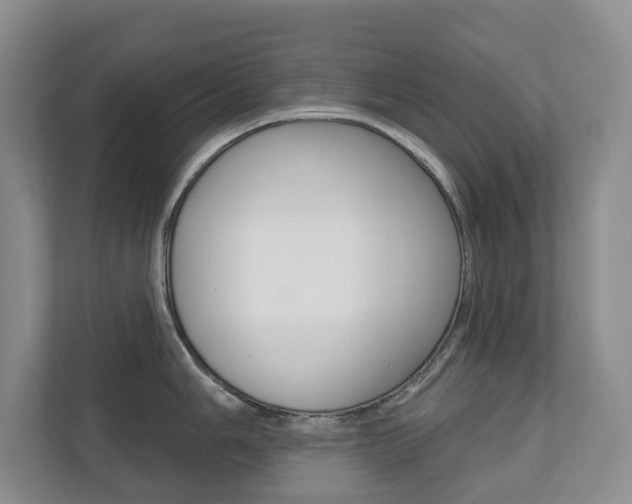 X0000110741006200906150925