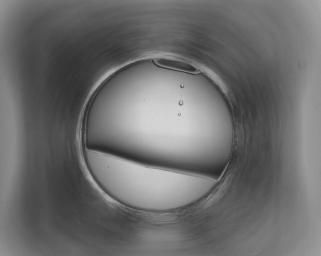 X0000110741007200906150925