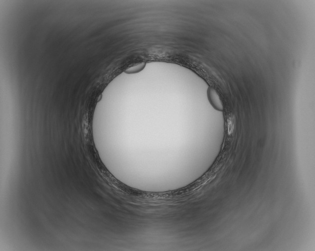 X0000110741011200906150924