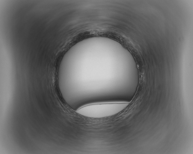 X0000110741012200906150924