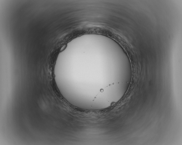 X0000110741013200906150924