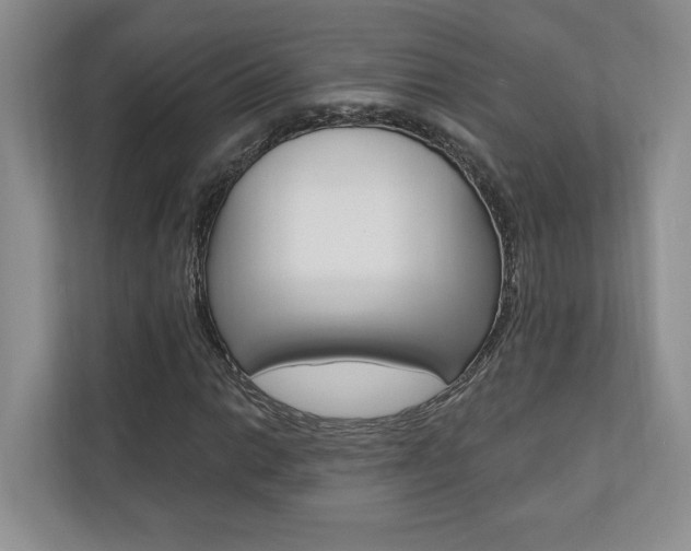X0000110741014200906150924