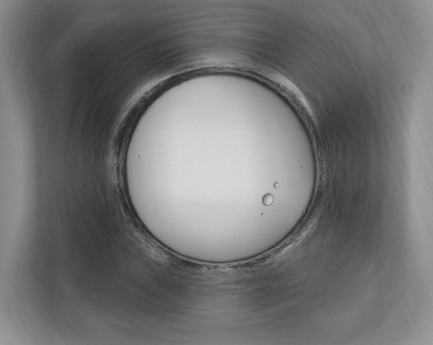 X0000110741019200906150924