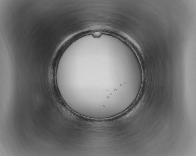 X0000110741021200906150924