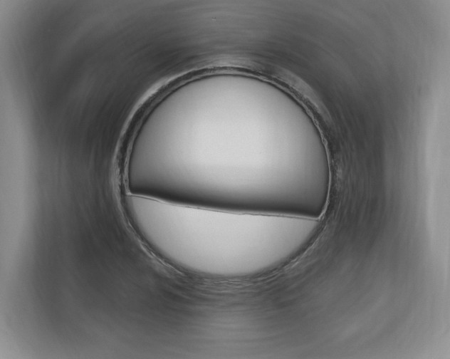 X0000110741024200906150924