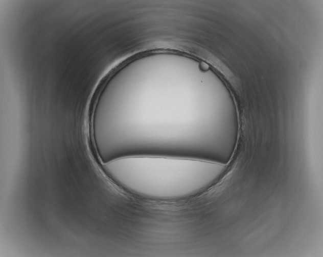 X0000110741028200906150924