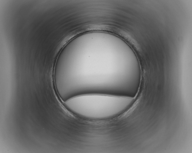 X0000110741033200906150925