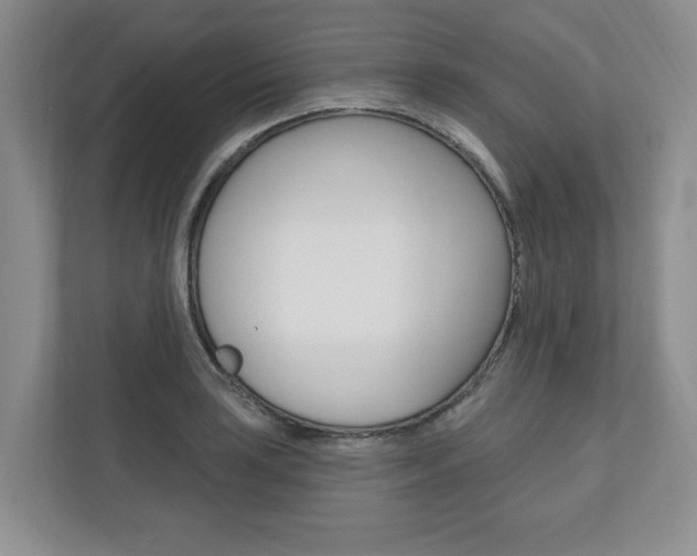 X0000110741035200906150925