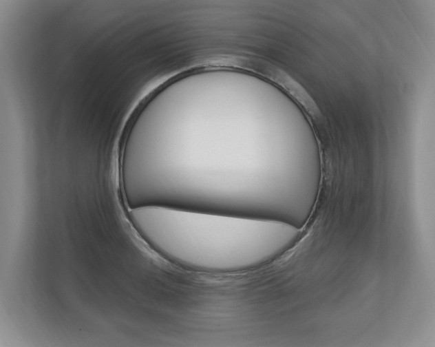 X0000110741036200906150925