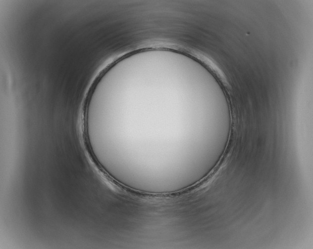 X0000110741040200906150925