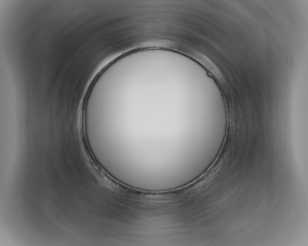 X0000110741044200906150925