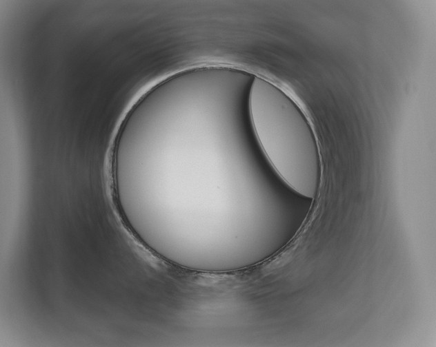 X0000110741056200906150925