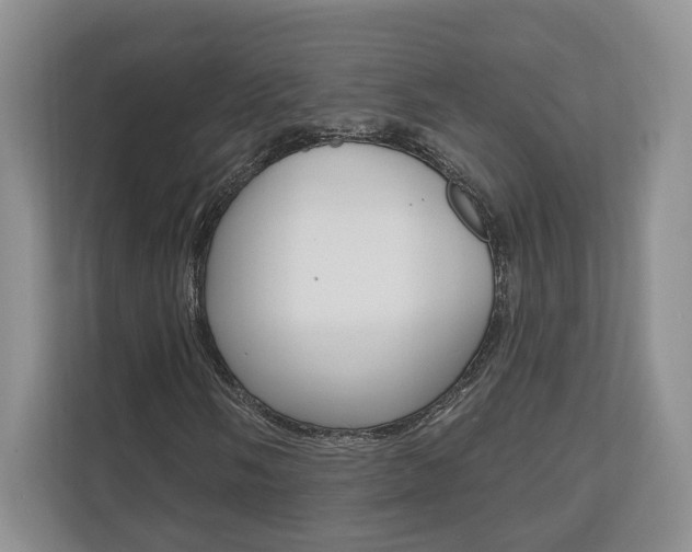 X0000110741058200906150924