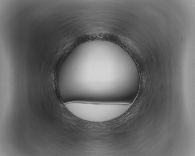 X0000110741060200906150924