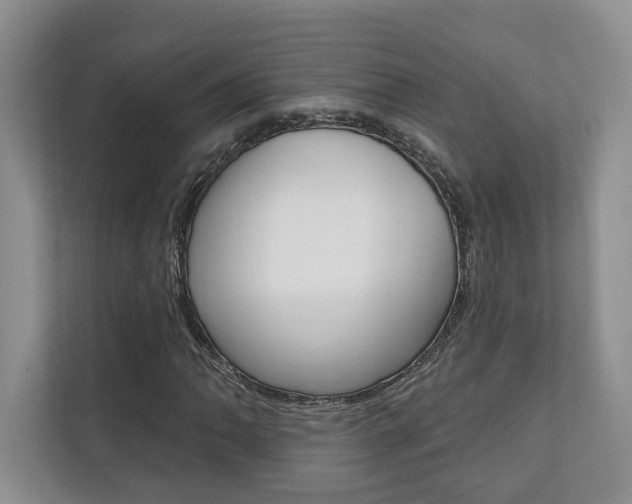 X0000110741062200906150924