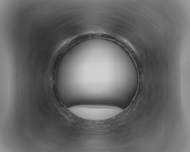 X0000110741064200906150924