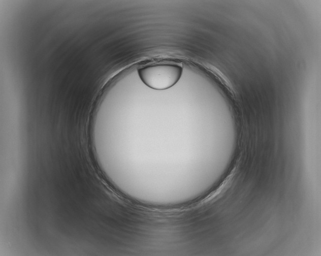 X0000110741065200906150924