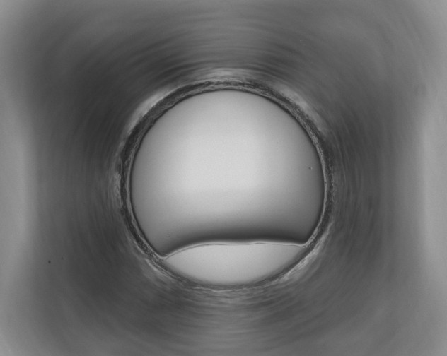 X0000110741066200906150924