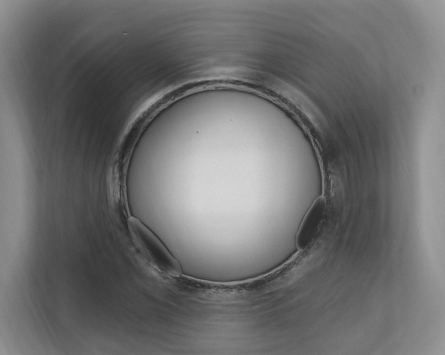 X0000110741069200906150924