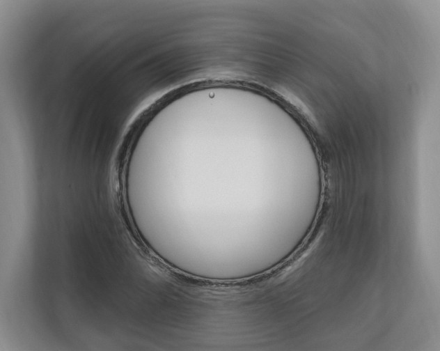 X0000110741070200906150924