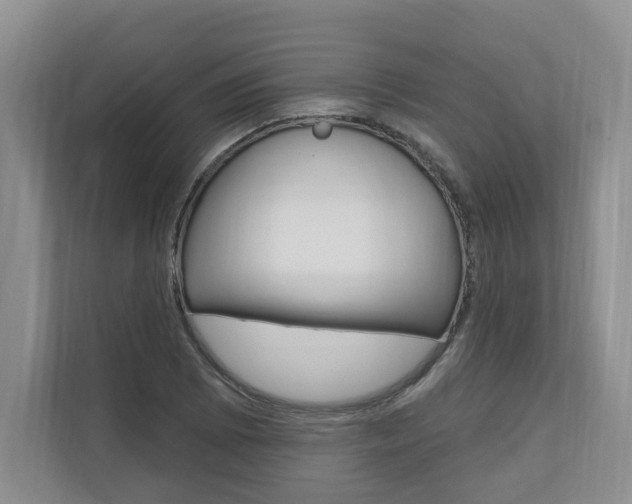 X0000110741073200906150924