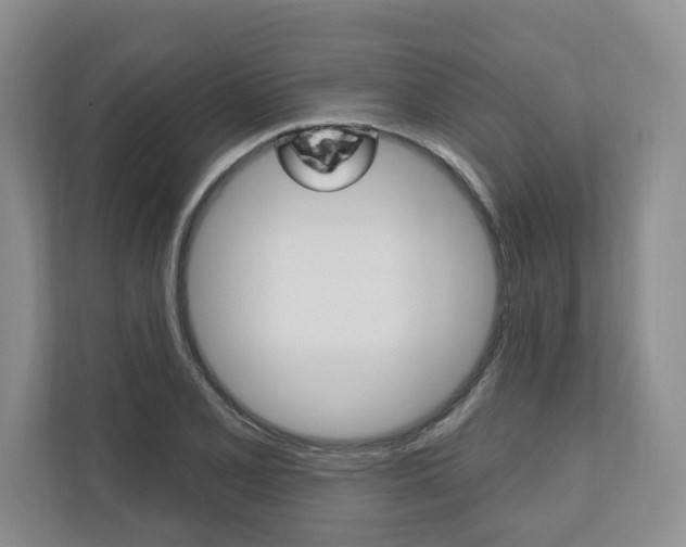 X0000110741077200906150924