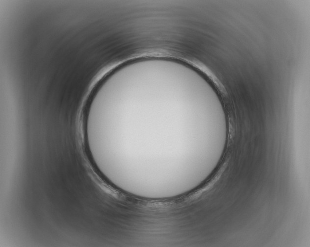 X0000110741078200906150924