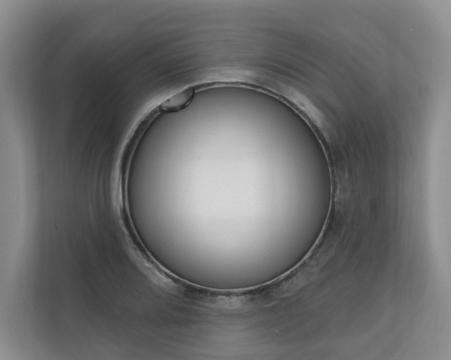 X0000110741080200906150924