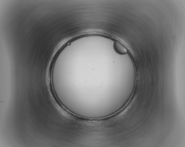 X0000110741082200906150924