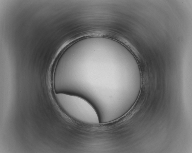 X0000110741083200906150924