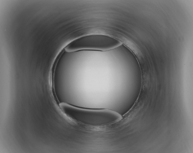 X0000110741084200906150924