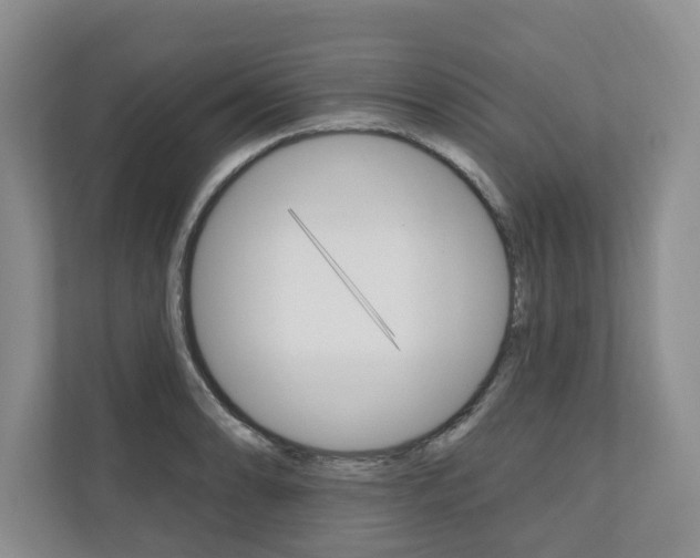 X0000110741086200906150924