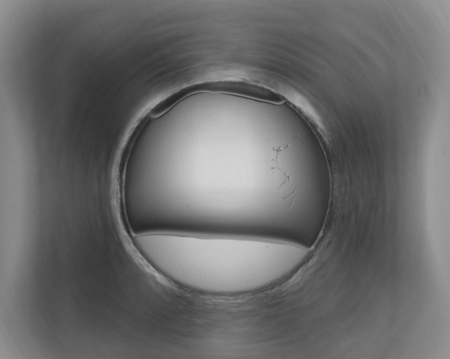 X0000110741088200906150924
