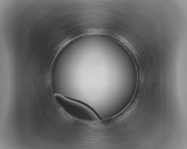 X0000110741089200906150924