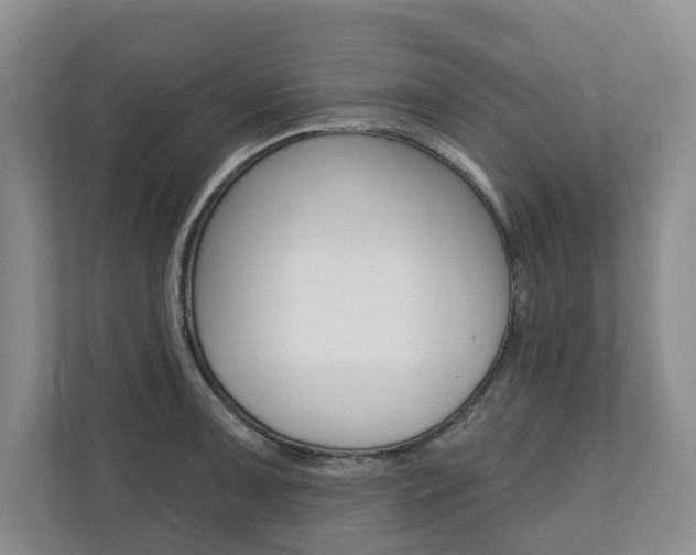 X0000110741091200906150924