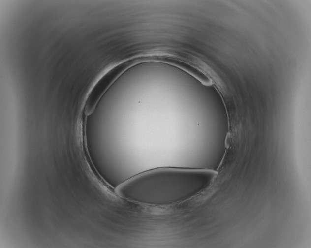 X0000110741092200906150924