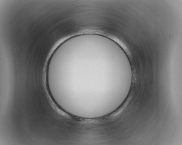 X0000110741094200906150924