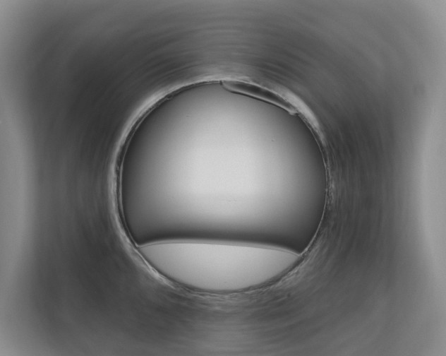 X0000110741096200906150924