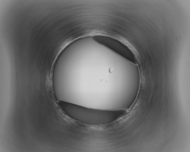 X0000110741097200906150924