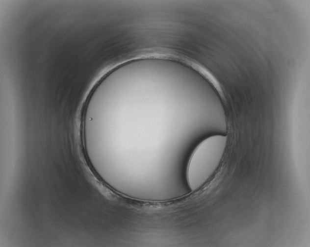 X0000110741099200906150924