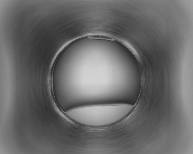 X0000110741100200906150924