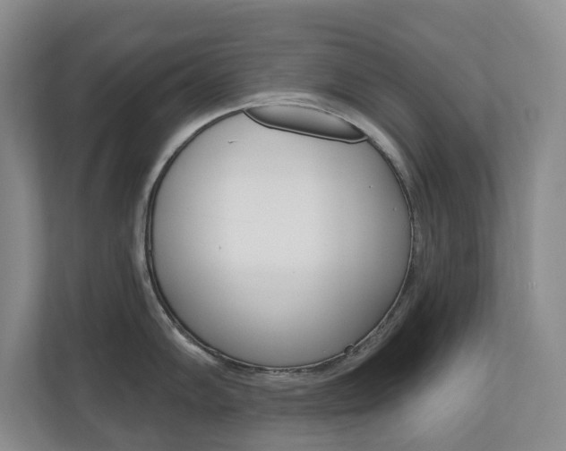X0000110741102200906150924