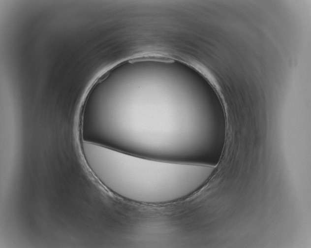 X0000110741104200906150924