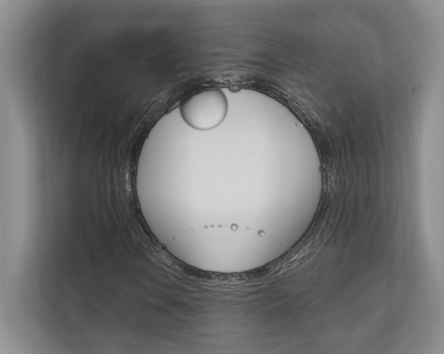 X0000110741106200906150923