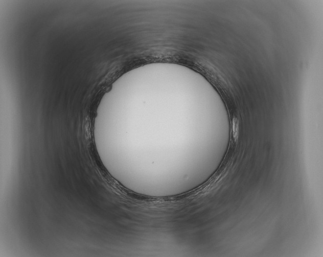X0000110741107200906150923