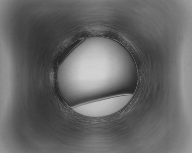 X0000110741108200906150923