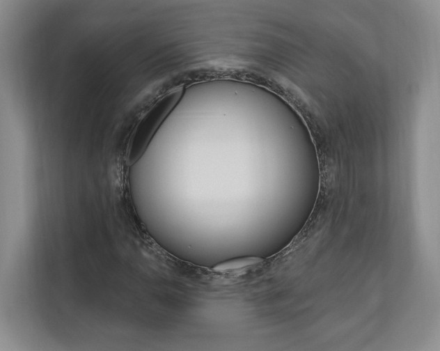 X0000110741110200906150923