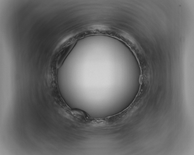 X0000110741112200906150923