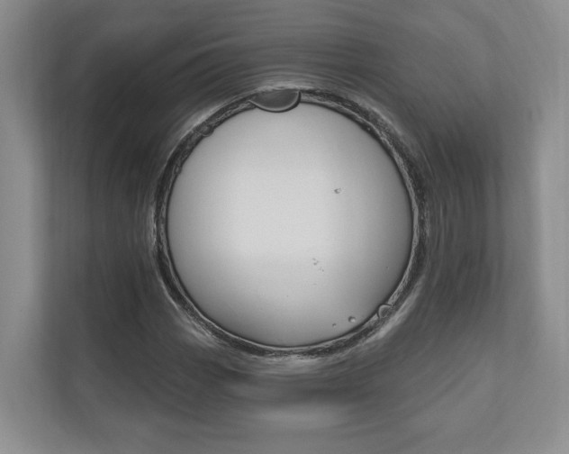 X0000110741113200906150923