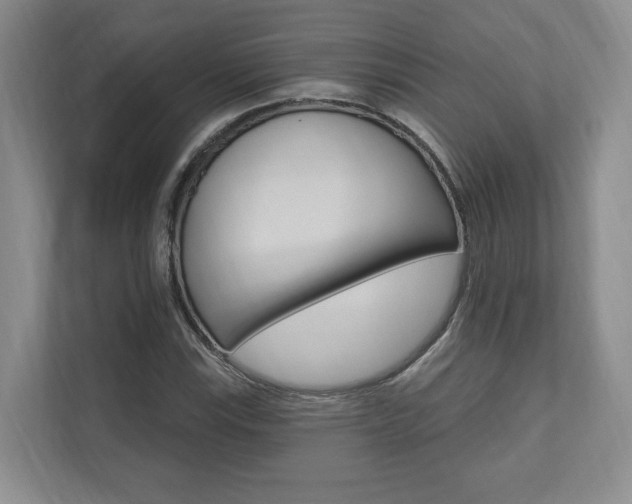X0000110741115200906150923